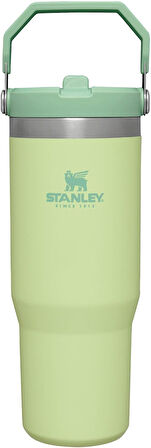 IceFlow Flip Straw Pipetli Termos Bardak, 0.89 Litre, Lime Yeşili (Citron)