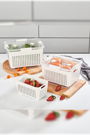 Home - Lavin 2 Litre Açık Gri Saklama Kabı