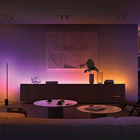 Hue Gradient Akıllı Renkli Led Şerit Aydınlatma, 1m, Genişletme Paketi, 16 milyon renk ve renk geçişi
