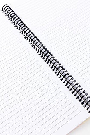 Pruva Ofis Serisi, A4 100 Yaprak Çizgili Karton Kapaklı Pet Spiralli Defter, Bej