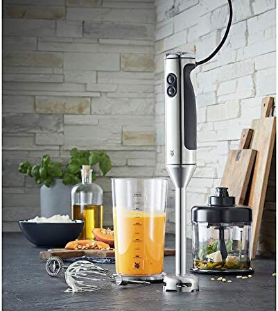 Lineo el mikseri seti, 5 parça, püre blenderi, çırpma teli, süt köpürtücü, doğrayıcı, 700 Watt, 1 l karıştırma kabı dahil, paslanmaz çelik mat