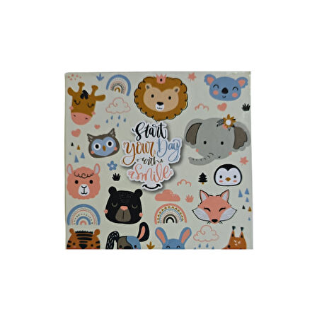 Star Sticky Set SC-4491