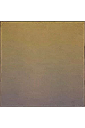 Bosphorus Çift Taraflı İpek Twill Eşarp 7208712-935
