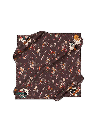 Aker Eşarp Vizon Kadın Eşarp 8863701313