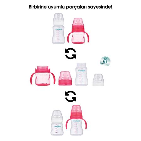 Mamajoo Kulplu Eğitici Bardak 160ml & Silver Biberon 250ml/Pembe