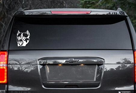 Pitbull Köpek Araba Sticker Yapıştırma