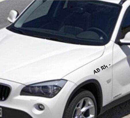 AB RH - Negatif Araba Kan Grubu Sticker