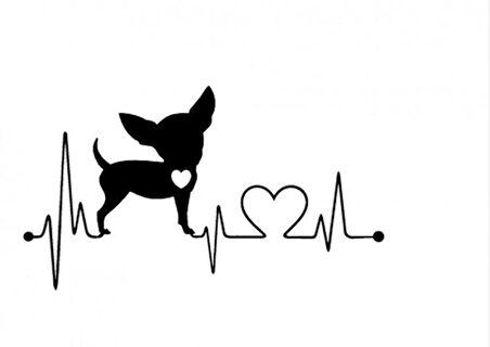 Chihuahua köpek Araba Sticker Yapıştırma 20 cm