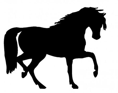 At Araba Sticker Yapıştırma 25CM