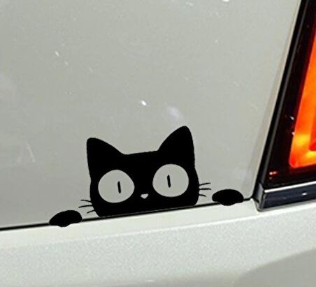 Kedi Oto Araba Sticker Yapıştırma