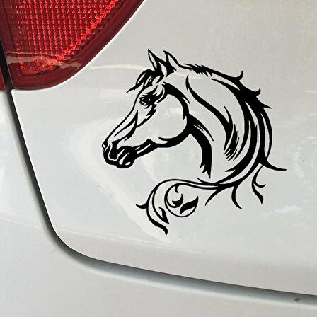 At Deseni Sticker Araba Yapıştırma