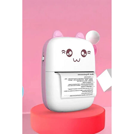 C9 Pembe Mini Yazıcı Taşınabilir Termal Yazıcı Kablosuz Bağlantı Ap Kontrol Cep Yazıcısı