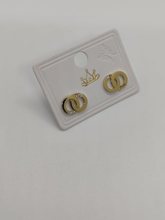 Zirkon Taş Detaylı CD Çelik Küpe