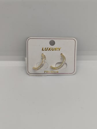 Premium Tek Sıra Zirkon Taşlı Yarım Halka Çelik Küpe