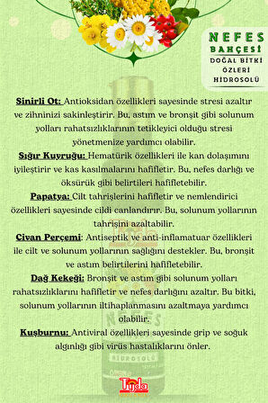 Nefes Bahçesi Doğal Bitki Özleriyle Zenginleştirilmiş Ferahlatıcı Bitkisel Karışım 250ml