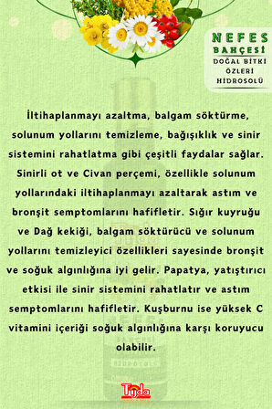Nefes Bahçesi Doğal Bitki Özleriyle Zenginleştirilmiş Ferahlatıcı Bitkisel Karışım 250ml