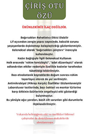 Çiriş Otu 250 ml Gulik otu Asphodelus aestivus L.