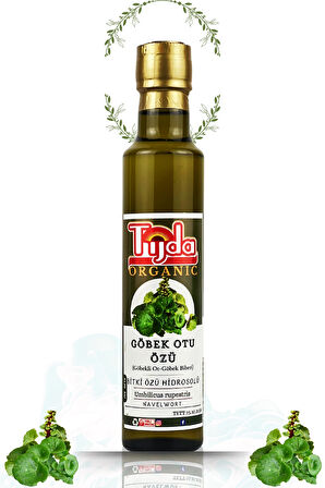 Göbek Otu Özü 250 ml Umbilicus rupestris