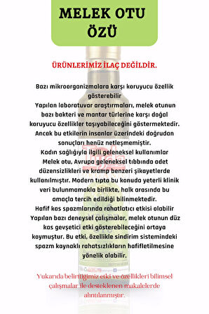 Melek Otu 250 ml Helerg otu Angelica archangelica