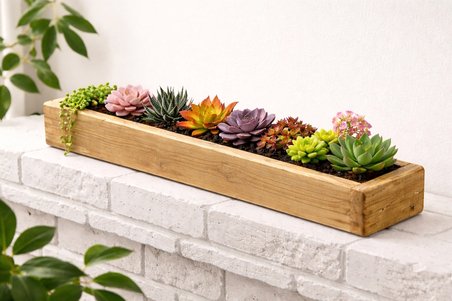 Doğal Ahşap Sukulent Bahçe Kutusu (50 cm x 9 cm x 9 cm )