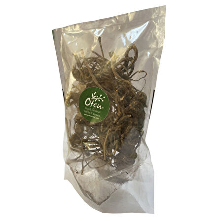 Otcu® Tavşan Memesi Otu 25 gr