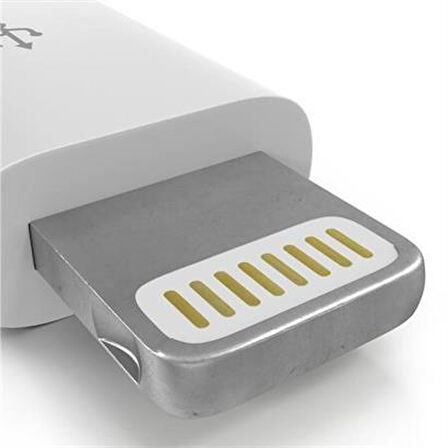 Petinka Micro Usb Dönüştürücü Adaptör Apple iPhone / iPad  OTG Aparat