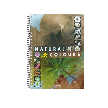 Özgün A4 Spiralli Sert Kapak Defter 200 Yaprak Çizgili 5 Renk Bölmeli