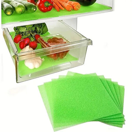 Buzdolabı Sebzelik Küf Önleyici Sünger Set 10'lu