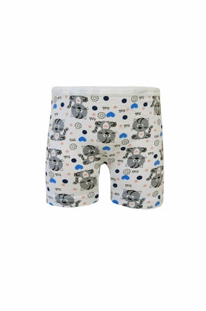 12li Kız Çocuk Uzun Boxer Pamuklu Likralı Baskılı Renkli