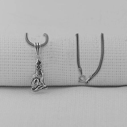 Kurt Simgeli 925 Ayar Gümüş Erkek Kolye