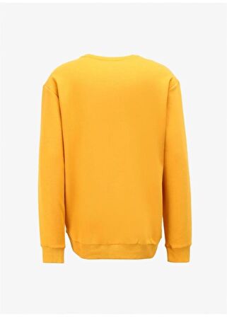 Columbia Csc M Nature And Back Crew Erkek Sarı Sweatshirt CS0329-756