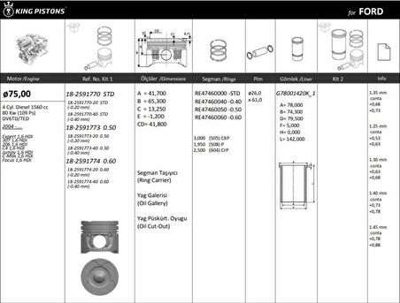 Ford Motor Piston+segmanı ( Riken )  75,00+stdmm Cap Expert 1,6 Hdi 307 1,6 Hdi 206 1,6 Hdi C4 1,6 Hdi Ju - Kingpiston 18-2591770