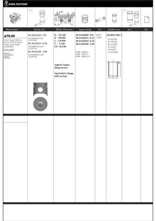 Opel Motor Piston+segmanı ( Riken )  79,00+stdmm Cap Astra G Combo Box Corsa C Meriva 0.20 MM Kisa-Y17dt/ - Kingpiston 18-3050260-20