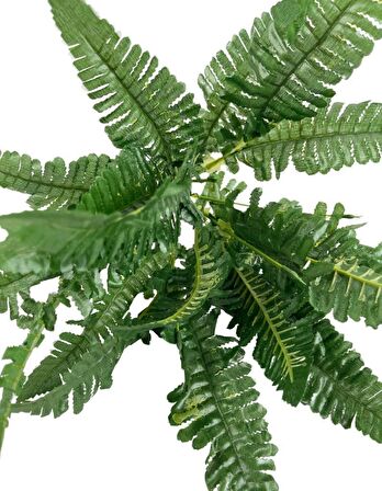Yapay Çiçek Cycas Aşk Merdiveni Eğrelti Otu Sıkas Bitkisi  7 Dal 21 Yaprak 40*30cm Yapay Bitki