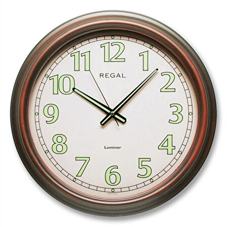 Regal 9108AI Kol Saati