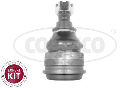 Honda Rotıl Alt Honda CIVIC VI 2001-2005 - Corteco 49399503