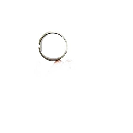 Pejo Segman 46*1.50mm