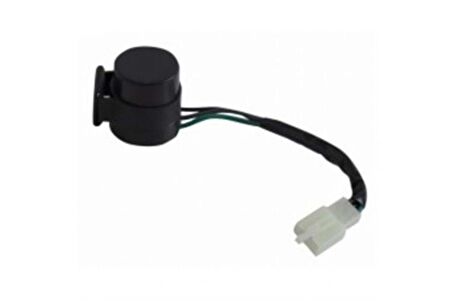 Flaşör 3 Fişli Sesli Scooter