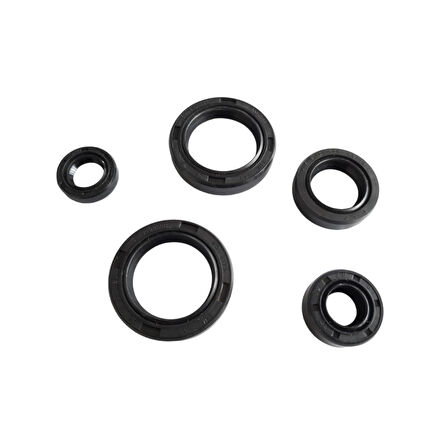 Bajaj Discover 125-150 Keçe Seti 5 Li