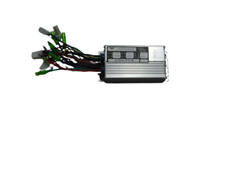 Beyin 24V E-Bisiklet