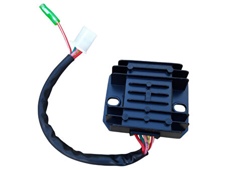 Bisan Pasific 125 Regülatör