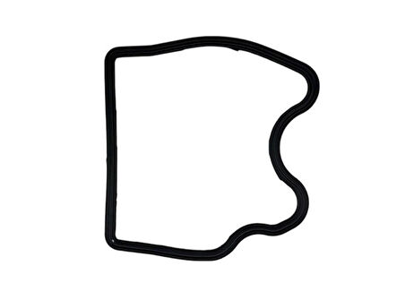 Tvs Raider 125 Külbütör Kapak O-Ringi K2010190 Orj