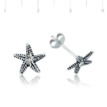 Gümüş Deniz Yıldızı Çivili Küpe