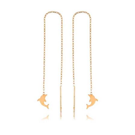 Gümüş Zincirli Yunus Balığı Küpe