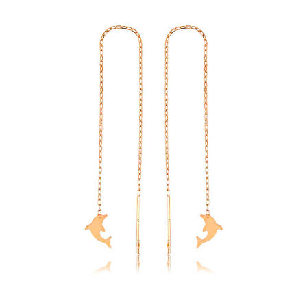 Gümüş Zincirli Yunus Balığı Küpe