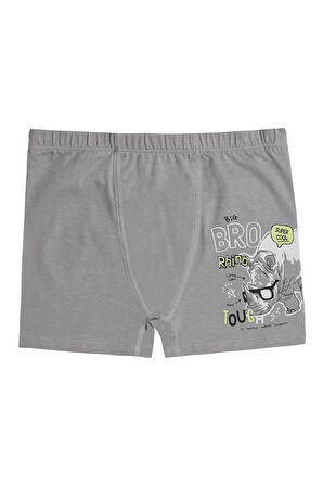 Özkan 31802 5'li Paket Erkek Çocuk Pamuklu Karışık Renkli Desenli Yumuşak Rahat Şort Boxer