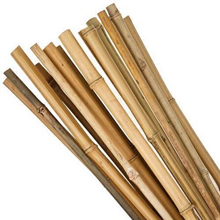 Bambu Sopası 180 cm 16 -18mm Bambu Çubuğu 5 ADET 