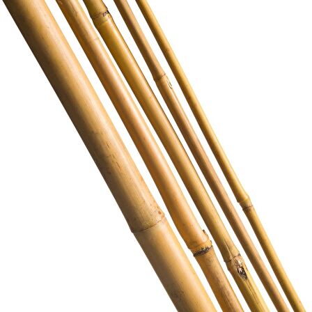 Bambu Sopası 180 cm 16 -18mm Bambu Çubuğu 5 ADET 
