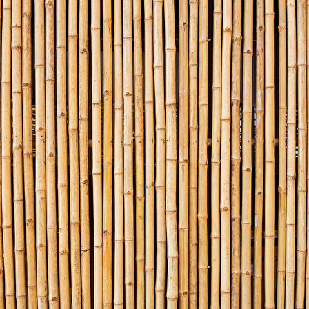 Bambu Sopası 180 cm 16 -18mm Bambu Çubuğu 5 ADET 