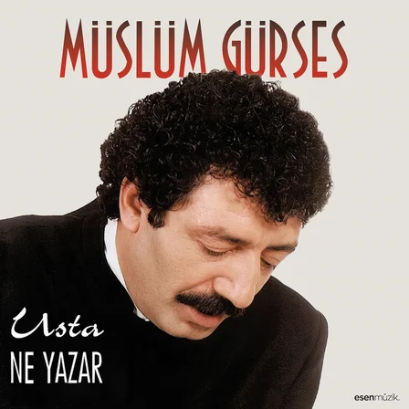 Müslüm Gürses Usta Ne Yazar - Plak